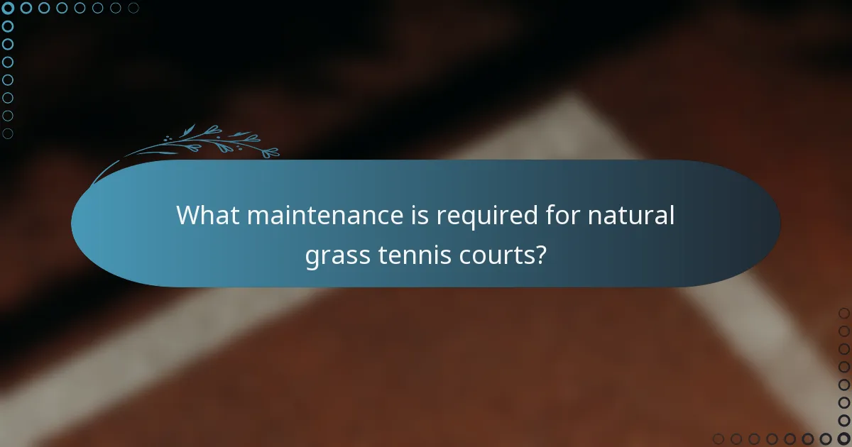 What maintenance is required for natural grass tennis courts?